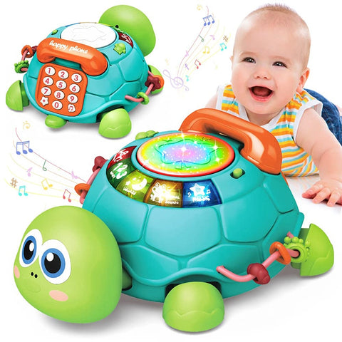 Education Turtle Toy