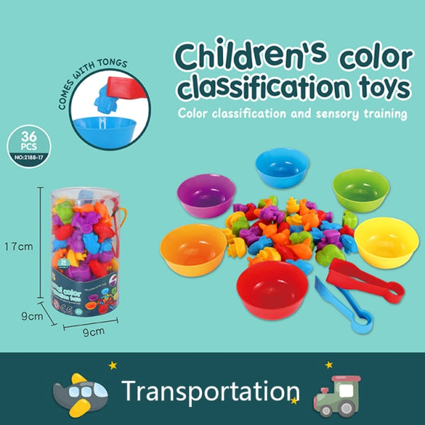 Montessori Toy - Animals